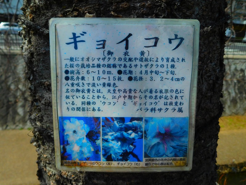 イメージ 3