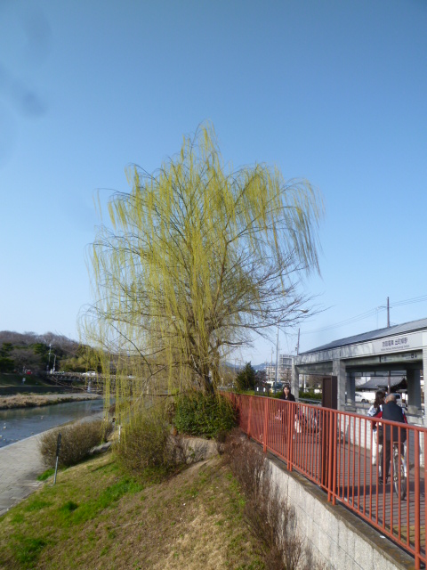 イメージ 1