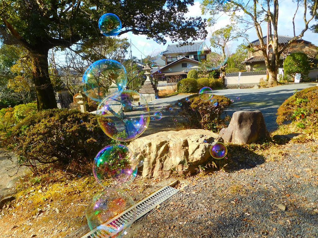 イメージ 6
