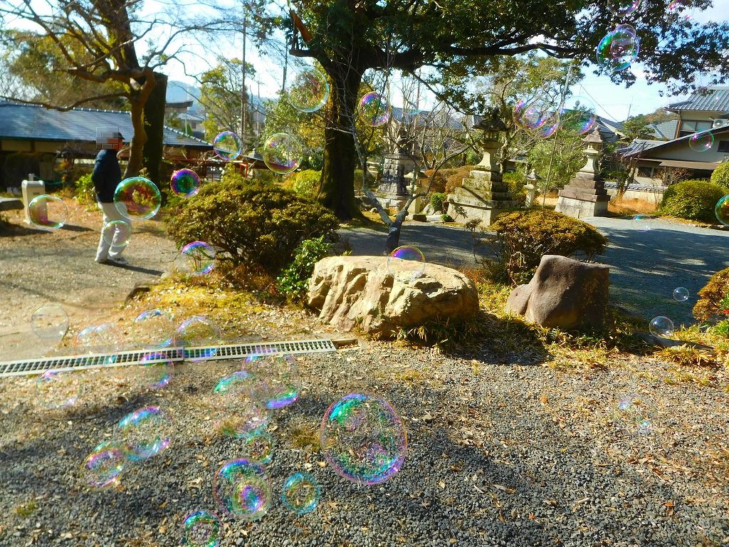 イメージ 10