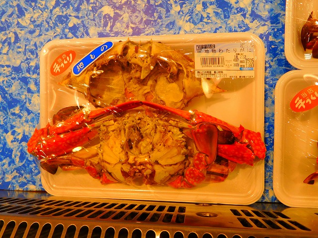 イメージ 10