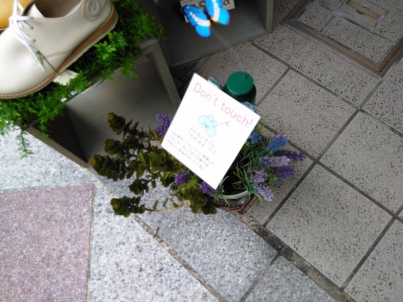 イメージ 6