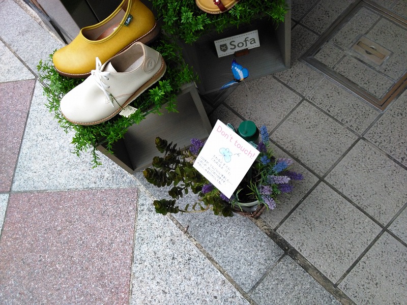 イメージ 7