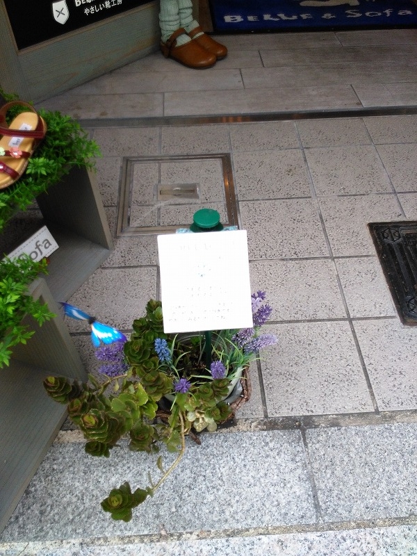 イメージ 8